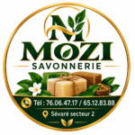 Mozi service